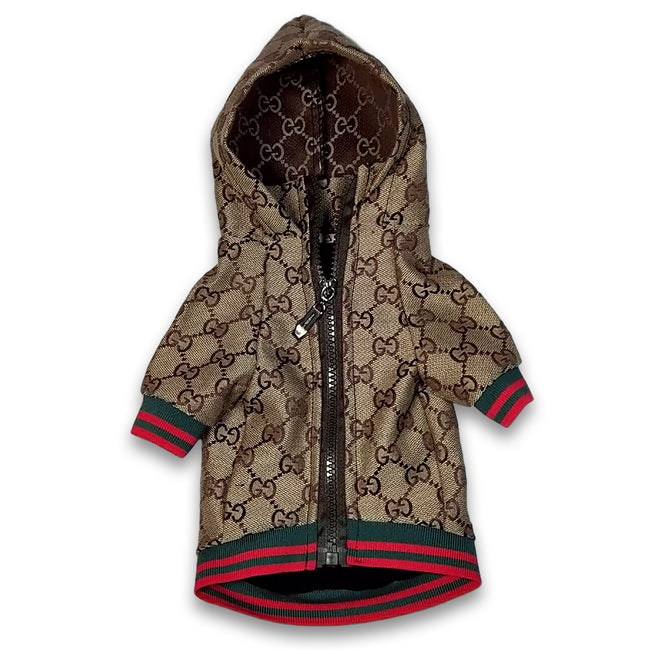 dog gucci jacket