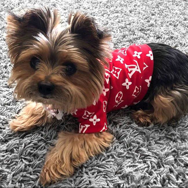 dog lv supreme hoodie