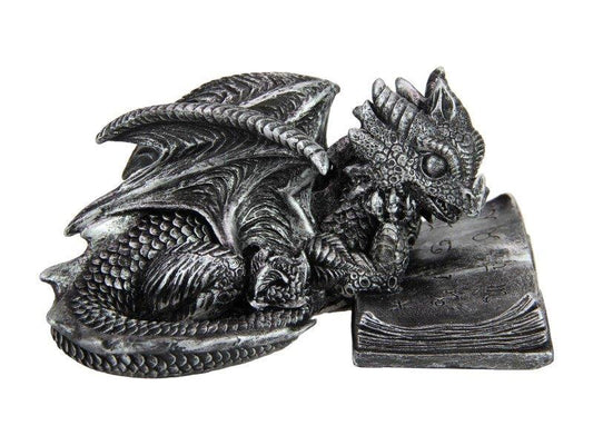 DRAGON READING BOOK 16CM