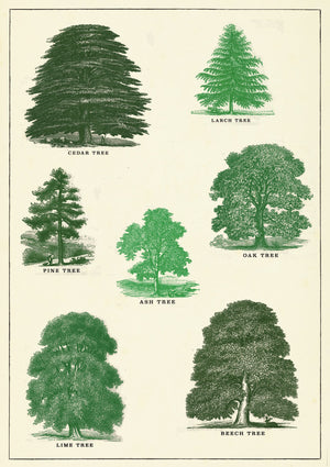 Trees Card