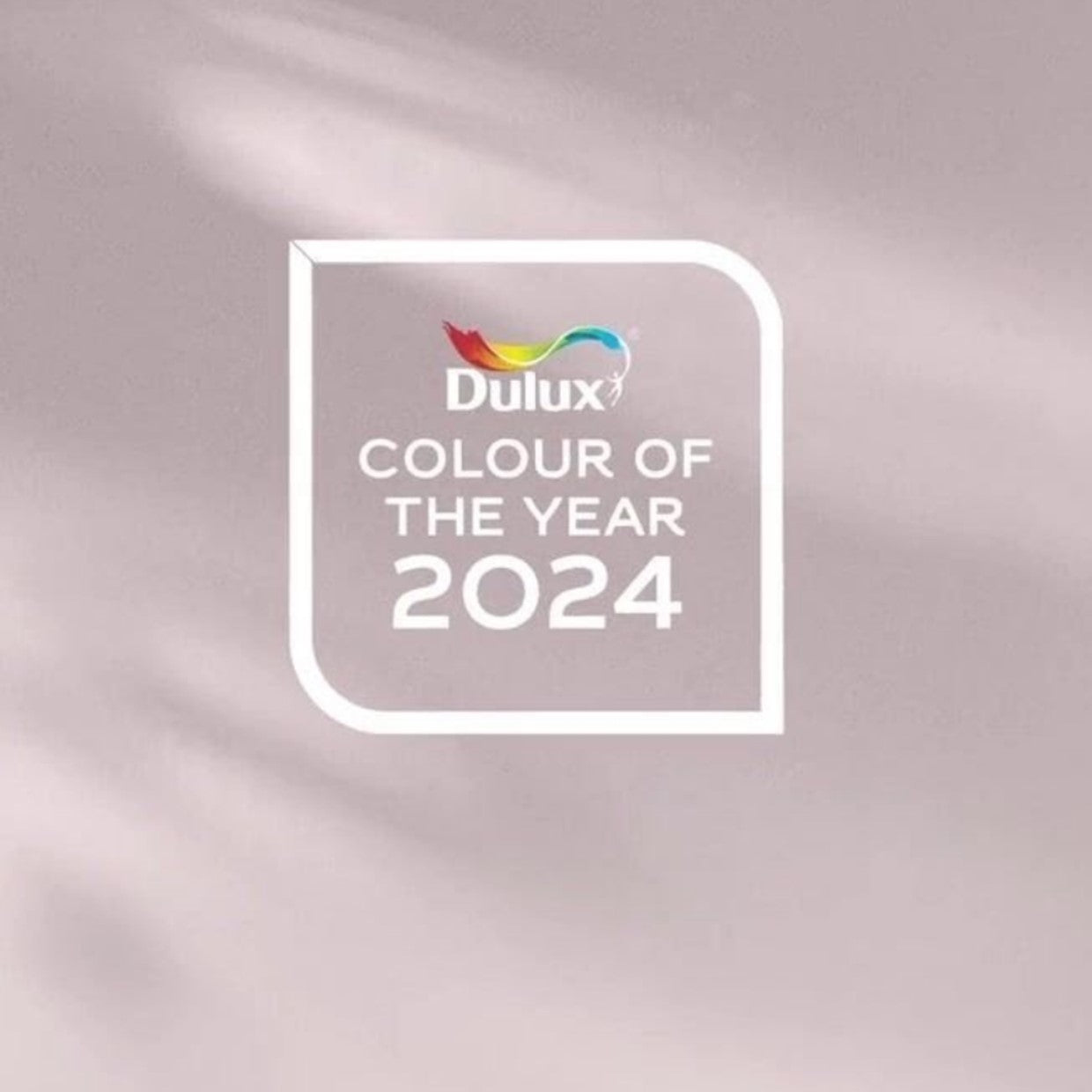 dulux colour of the year 2024 sweet embrace