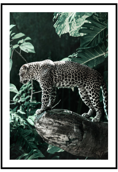 leopard pattern Poster