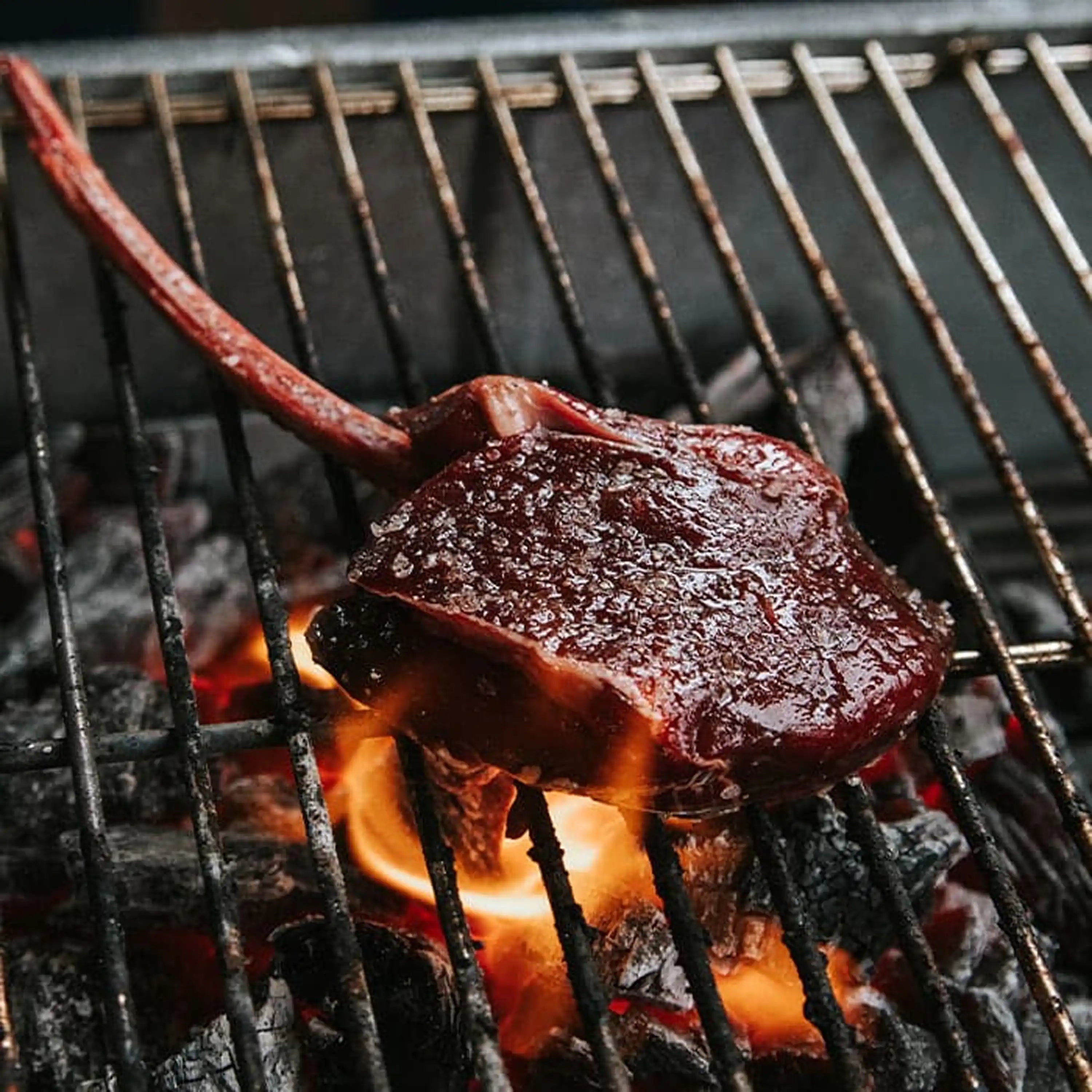 Venison