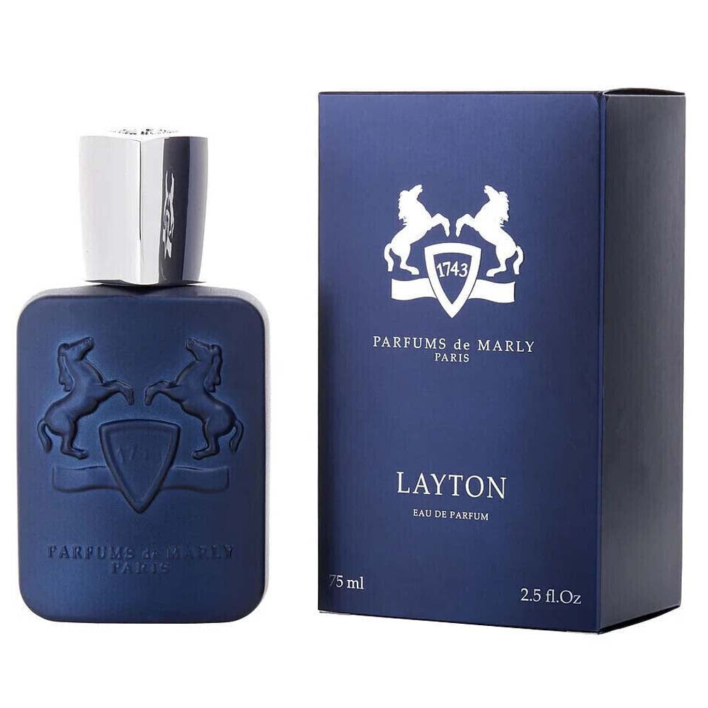 Louis Vuitton Meteore Edp 100 Ml Men's Perfume – Turkish Souq