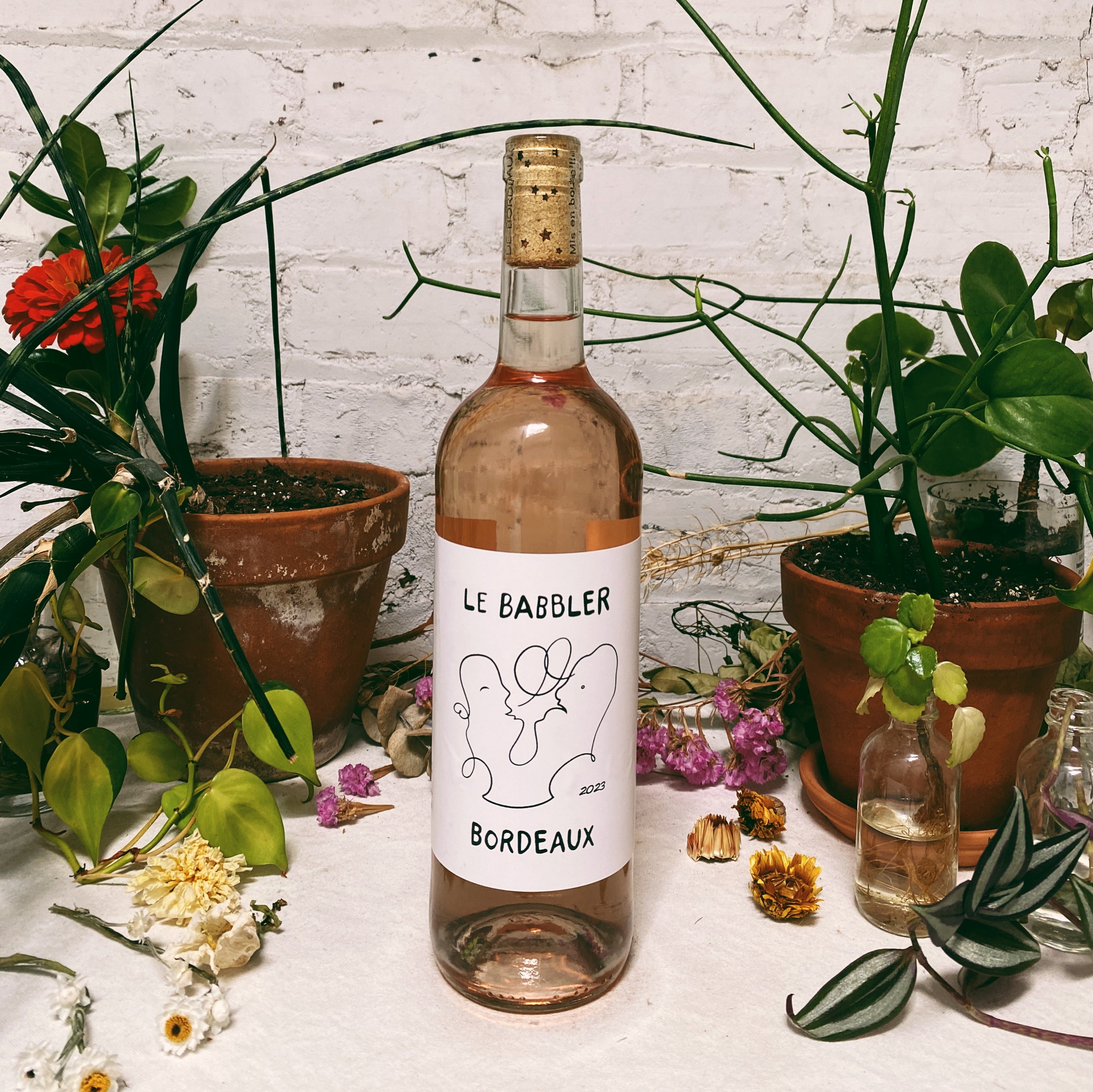 Bordeaux Rosé 'Le Babbler' 2023