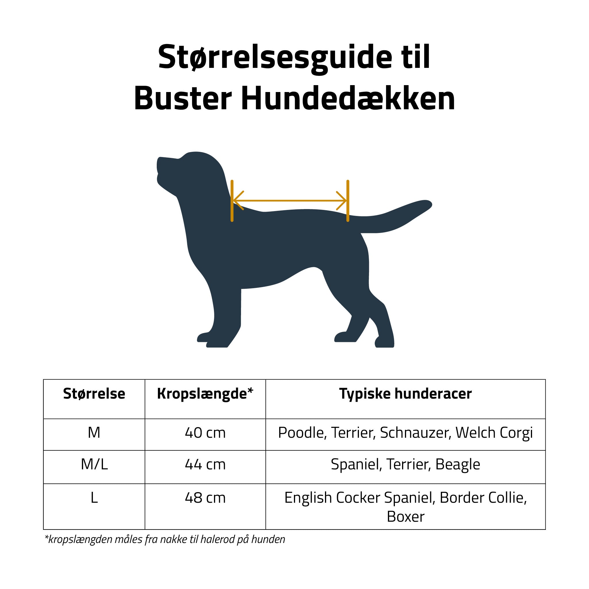 Størrelses guide