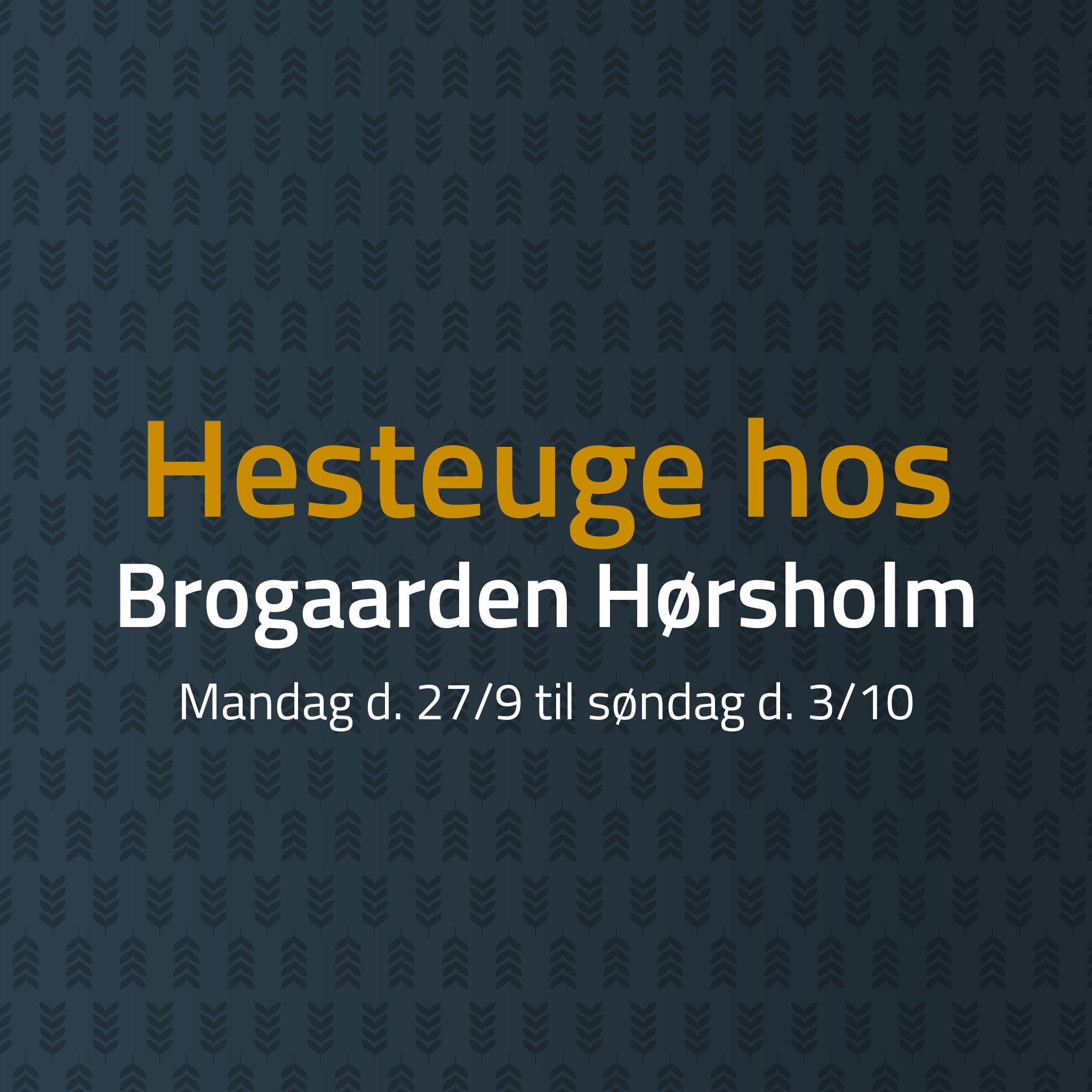 Hesteuge hos Butik Brogaarden i Hørsholm med gode tilbud og faglig sparring