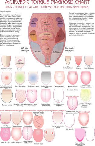 Ayurvedic tongue diagnosis chart