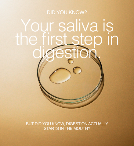 Yellow/Gold Gradient Image - Saliva Is The First Step of Digestion