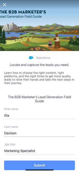 Facebook Objectives - Lead Generation