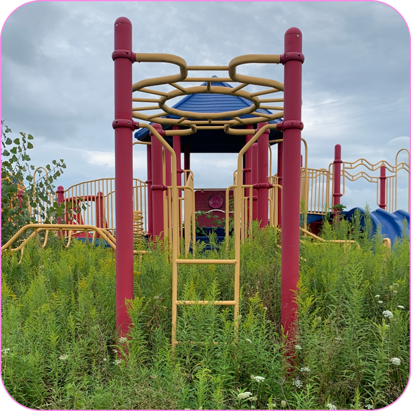 abandoned playground equipment overgrown with vegetation