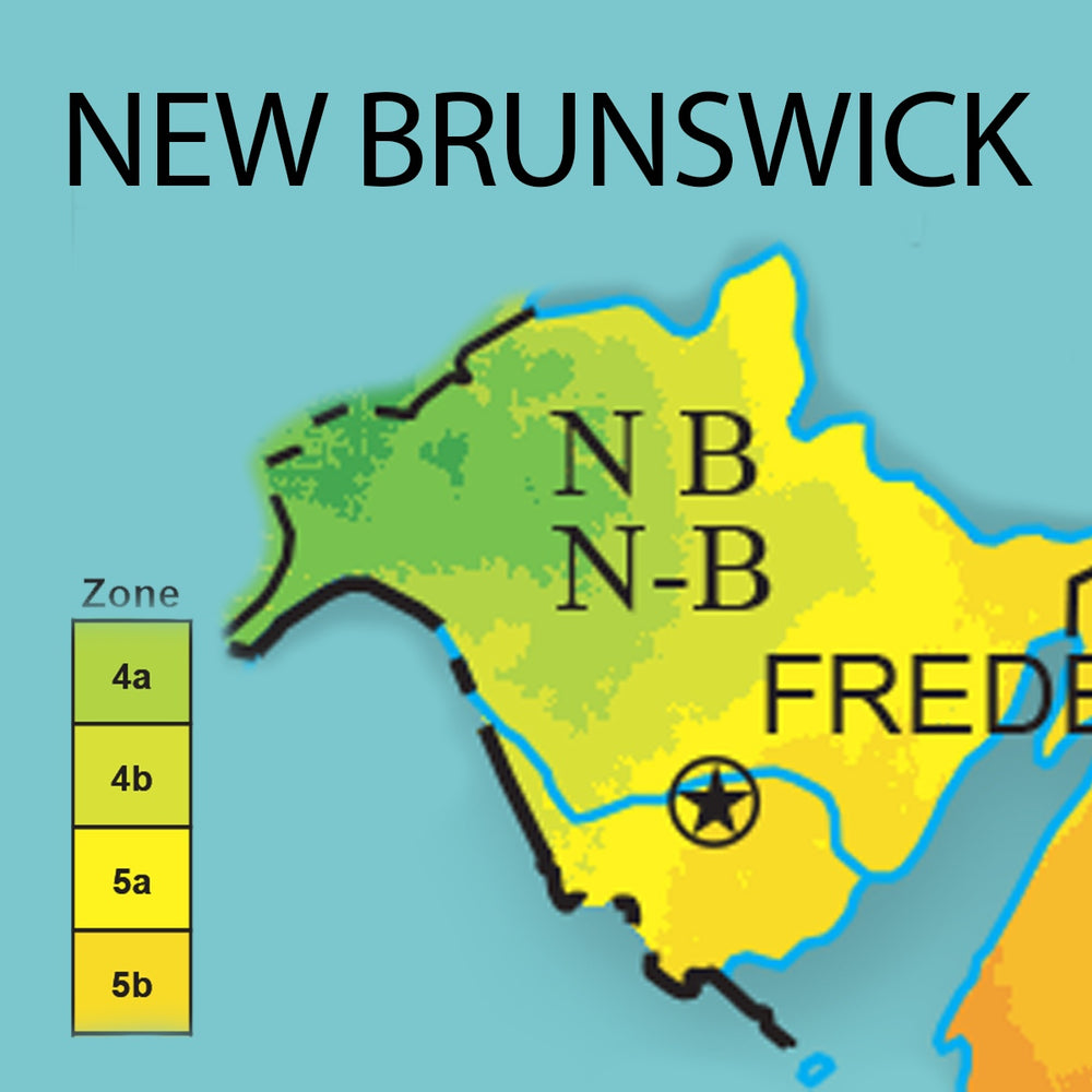 new-brunswick-n-planta-greenhouses