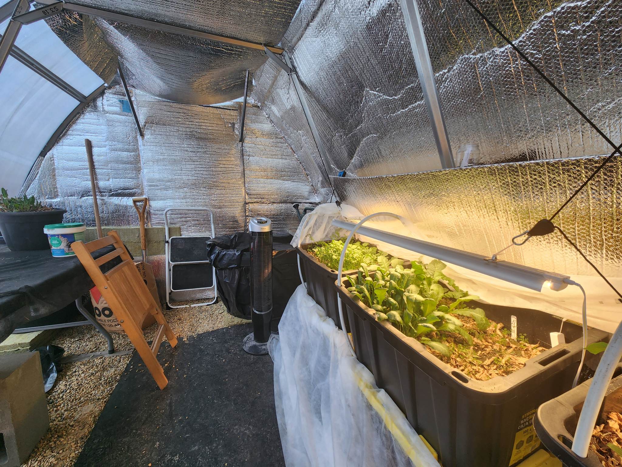 Sungrow Greenhouse, Interior, Heavy-duty greenhouse, DIY Greenhouse Kit