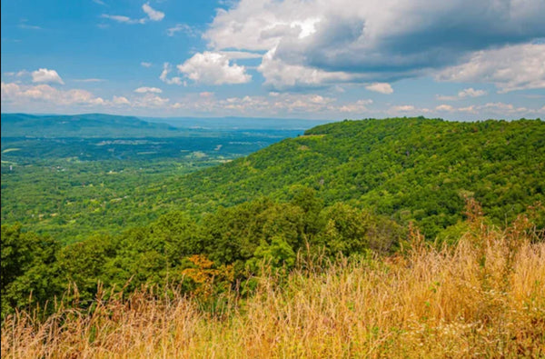 Summer Weather in Virginia, USA