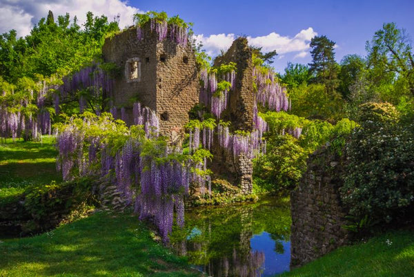 Garden of Ninfa