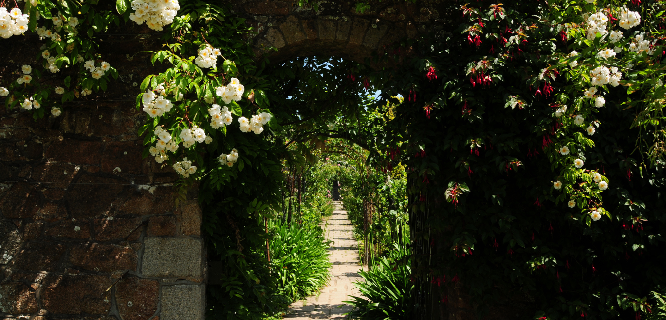 The Making of Il Giardino