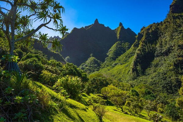 Limahuli Garden & Preserve