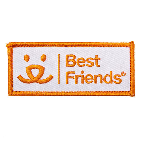 Best Friends Iron On Patch