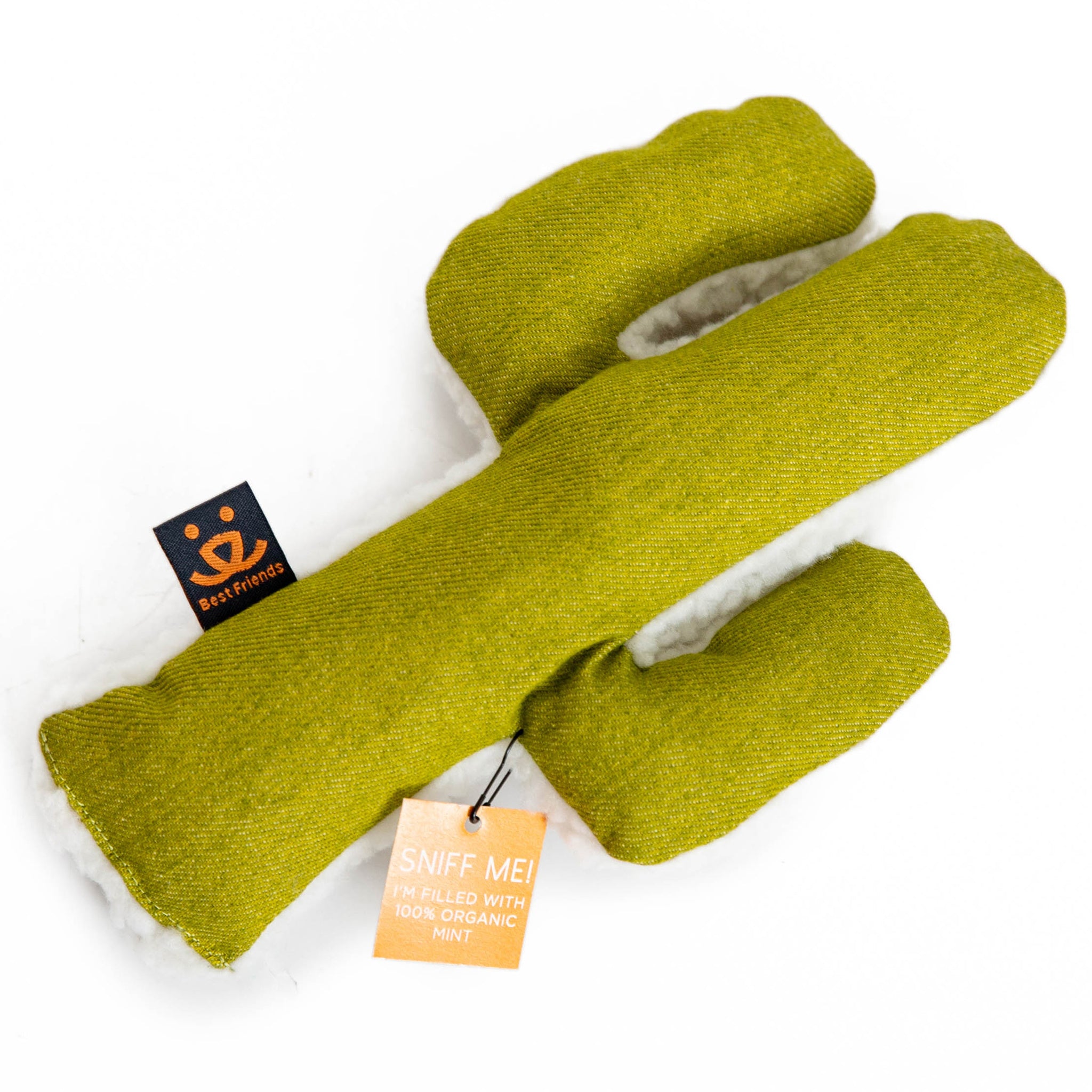 cactus dog toy