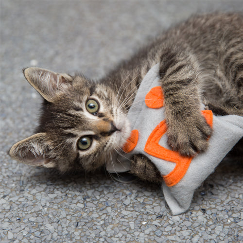 Catnip Kitty Toy, Orange Logo