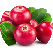 Flowens cranberry powder