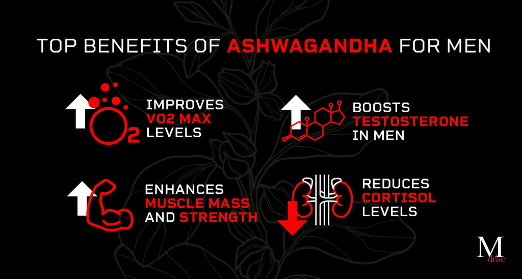 benefits of ashwagandha for men