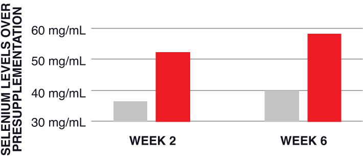 Bioperine improves selenium serum levels by 45% after 6 weeks of supplementation.