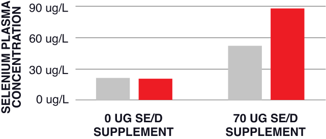 Selenium SeLECT improves selenium absorption by 2 times at 70 ug se/d dose.