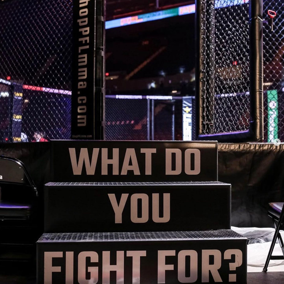 what do you fight for?