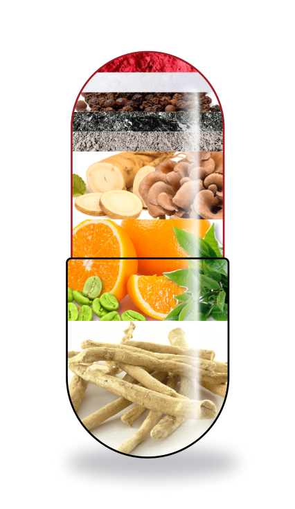 Mdrive Boost and Burn Ingredients