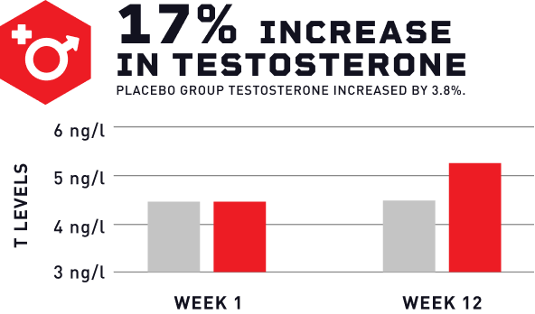 Mdrive increase in testosterone