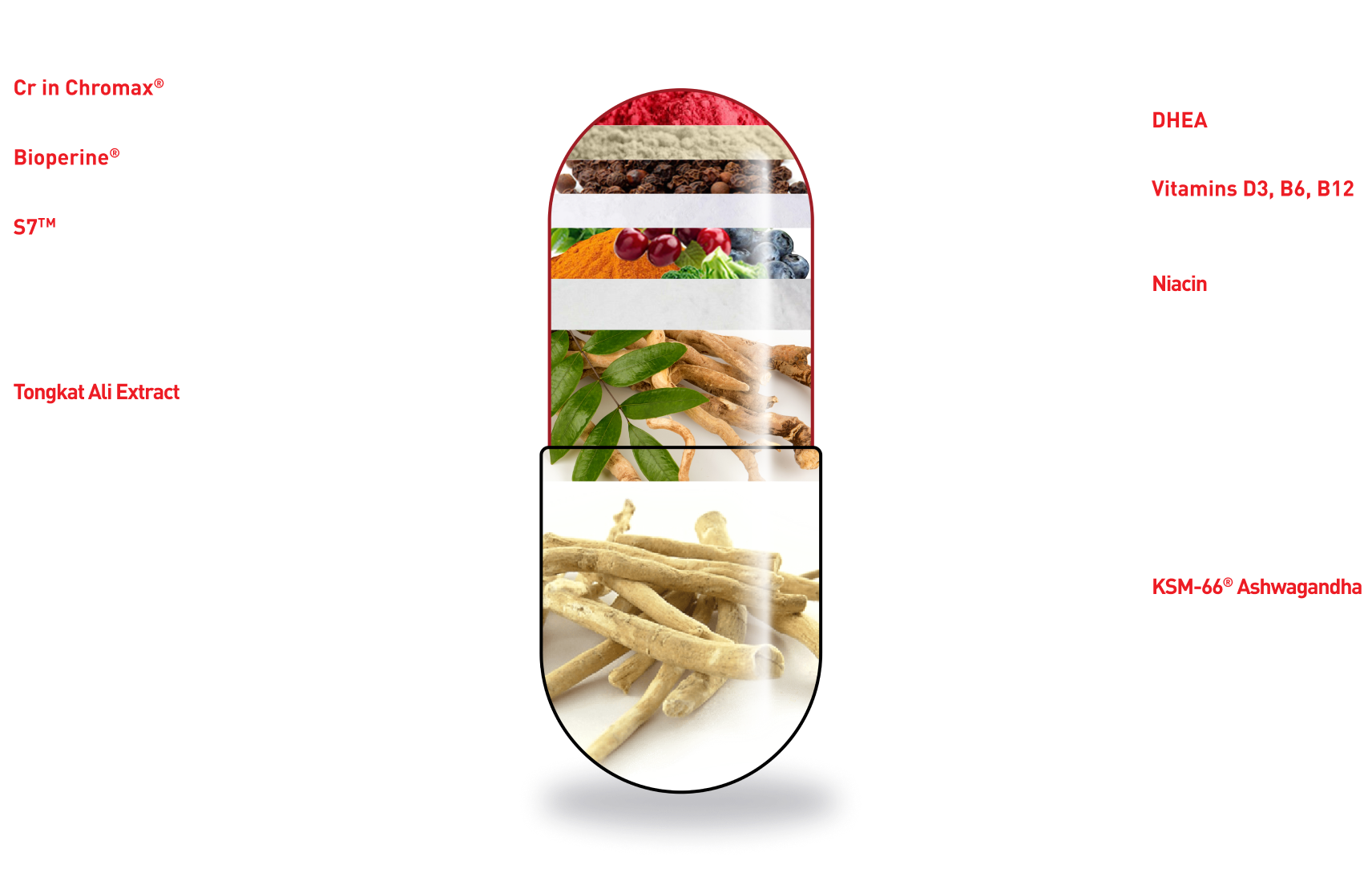 Mdrive Prime Ingredients