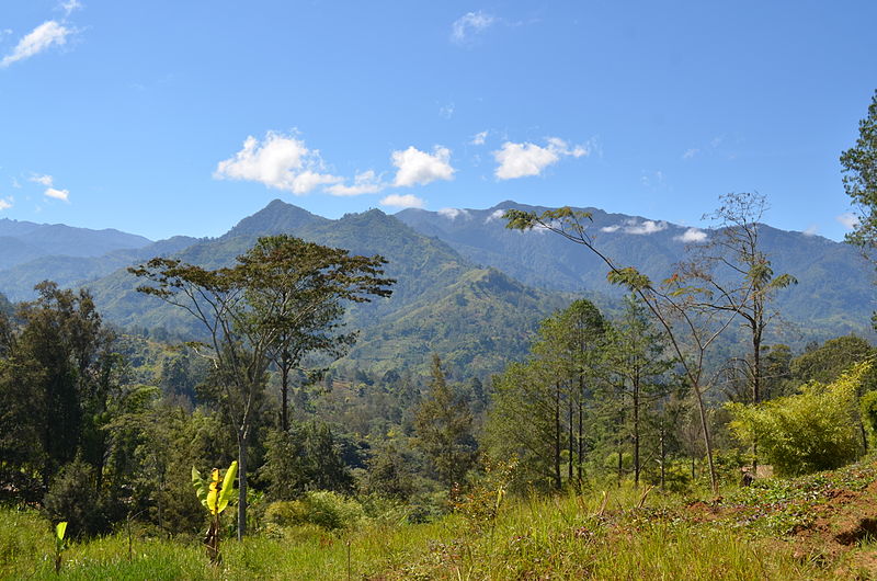 The Highlands of Papua New Guinea (photo via Wikimedia Commons)