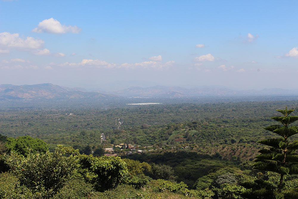 A view to the South from El Manzano. Note the large commercial coffee mill in the foreground.