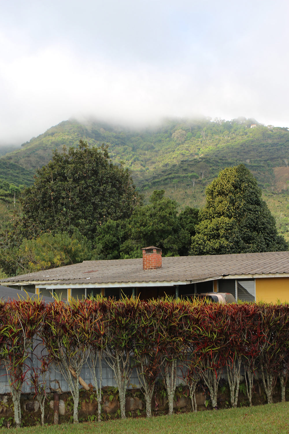 Clouds covering the upper reaches of Finca El Manzano in the morning