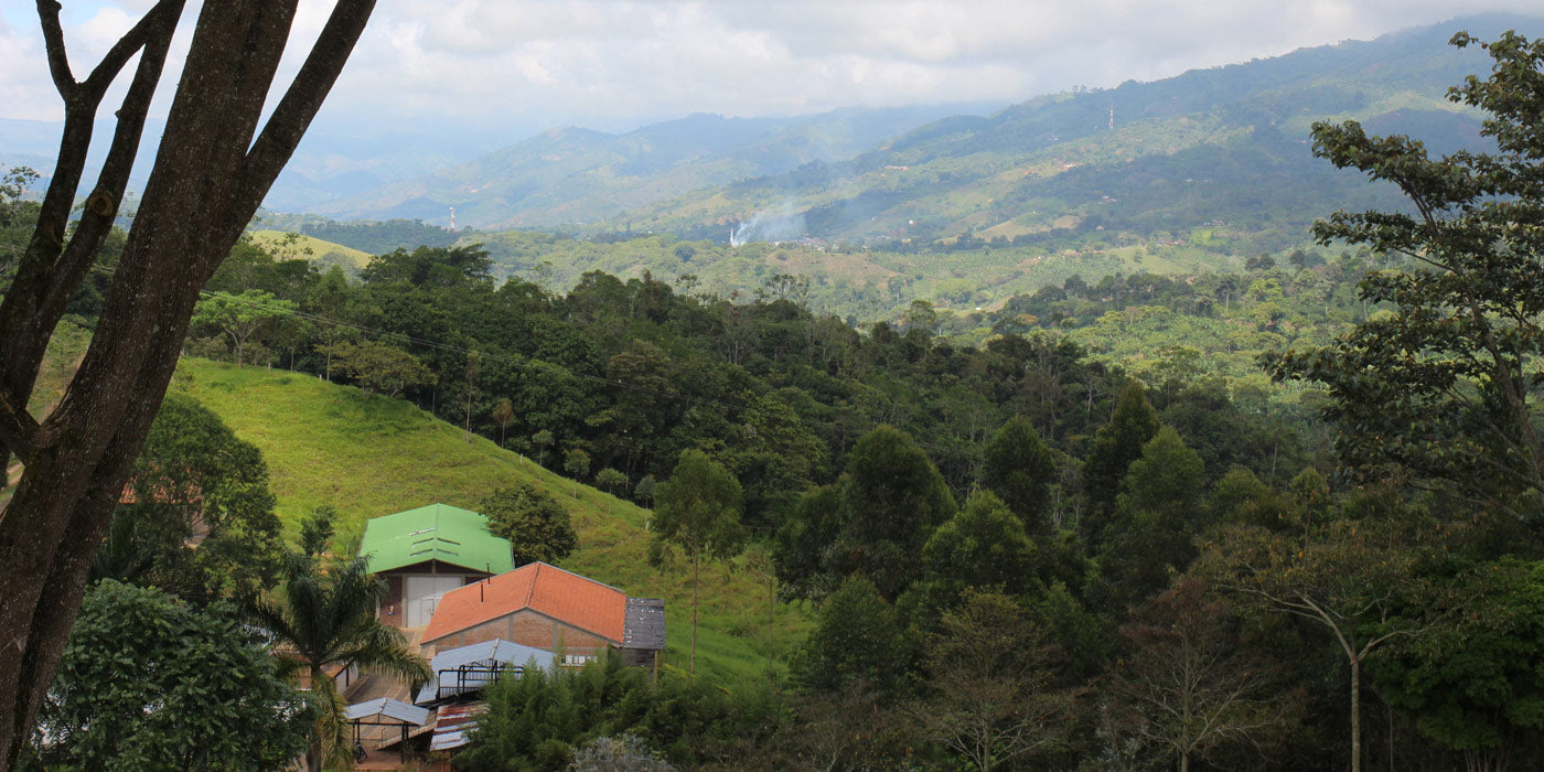 <div id="attachment_555" class="wp-caption aligncenter"> <p class="wp-caption-text">Looking East into the Valle de Cauca from Trujillo</p> </div> <p> </p>