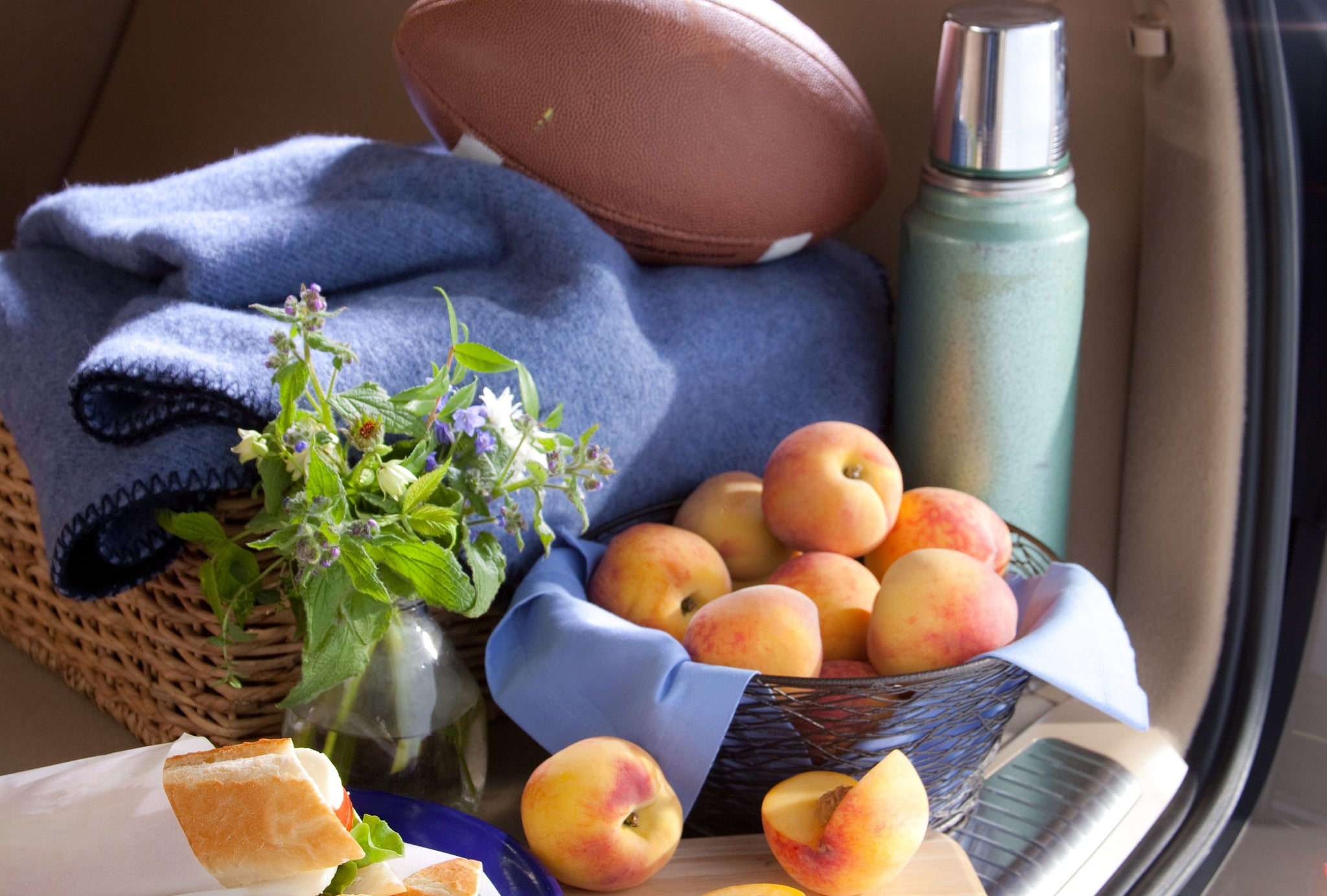 football tailgate peaches thermos sandwiches blanket