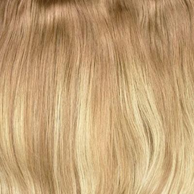 Biscuit Blondey Balayage shade snippet