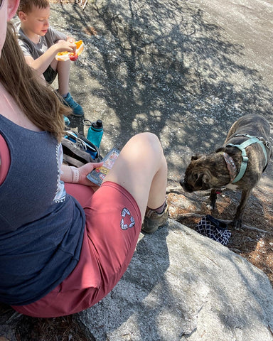 Lunch break on Stone Mountain NC