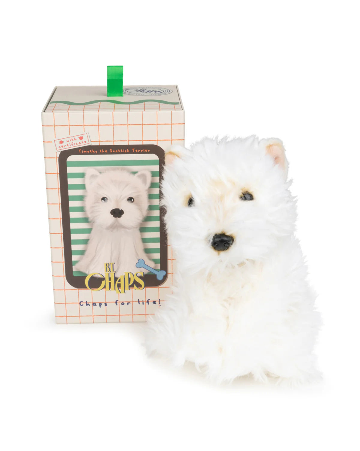 BT Chaps Timothy the Scottish Terrier