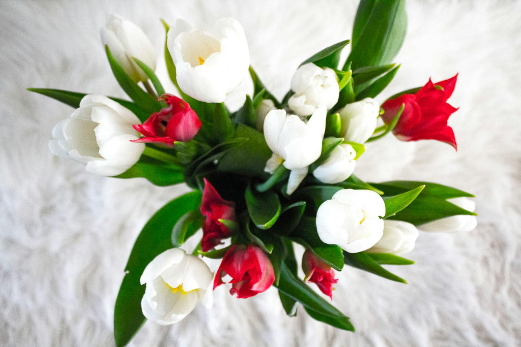 Introduction to Tulip Symbolism