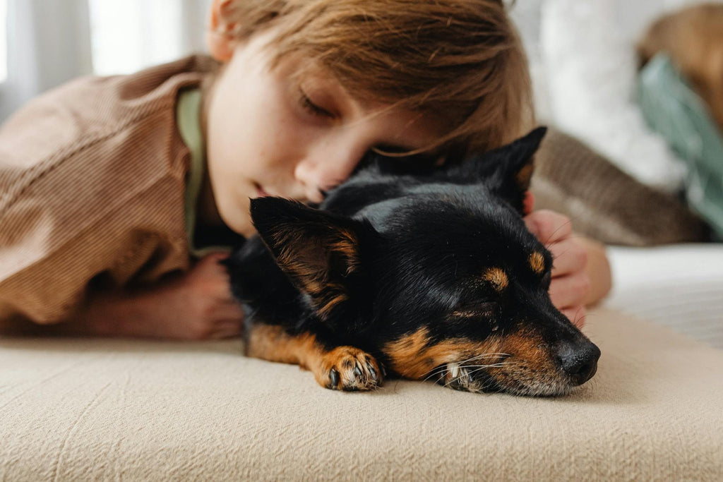 Furry Friends Forever: A Guide to Helping Children Navigate Pet Loss