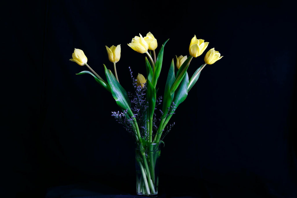 The Role of Tulips in the Funeral Industry
