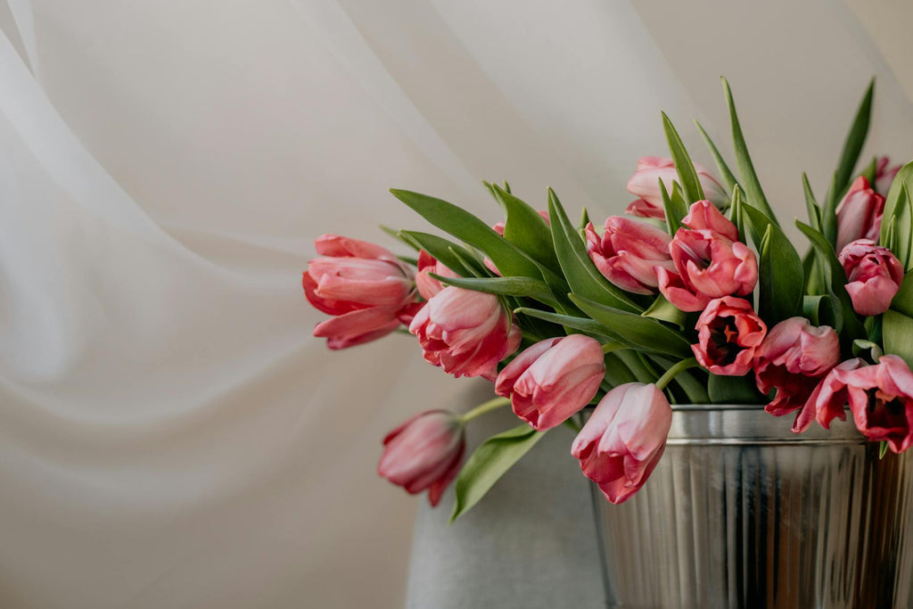 Tulips as a Tribute: Expressing Condolences and Remembrance