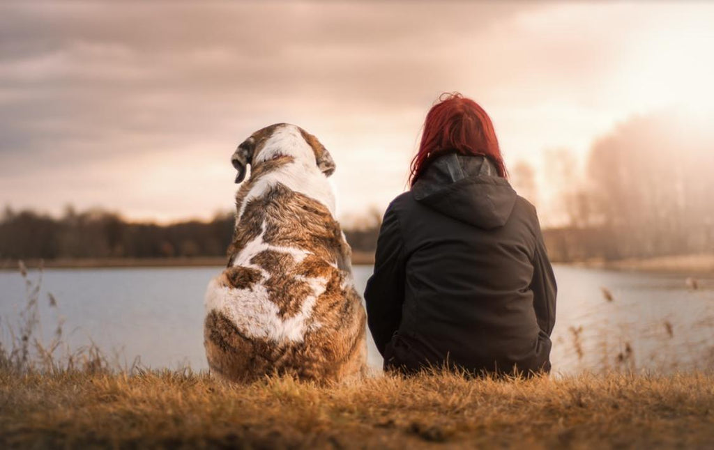 Dog and girl "Pet Memorials – 12 Dos and Don’ts" Blog by Pulvis
