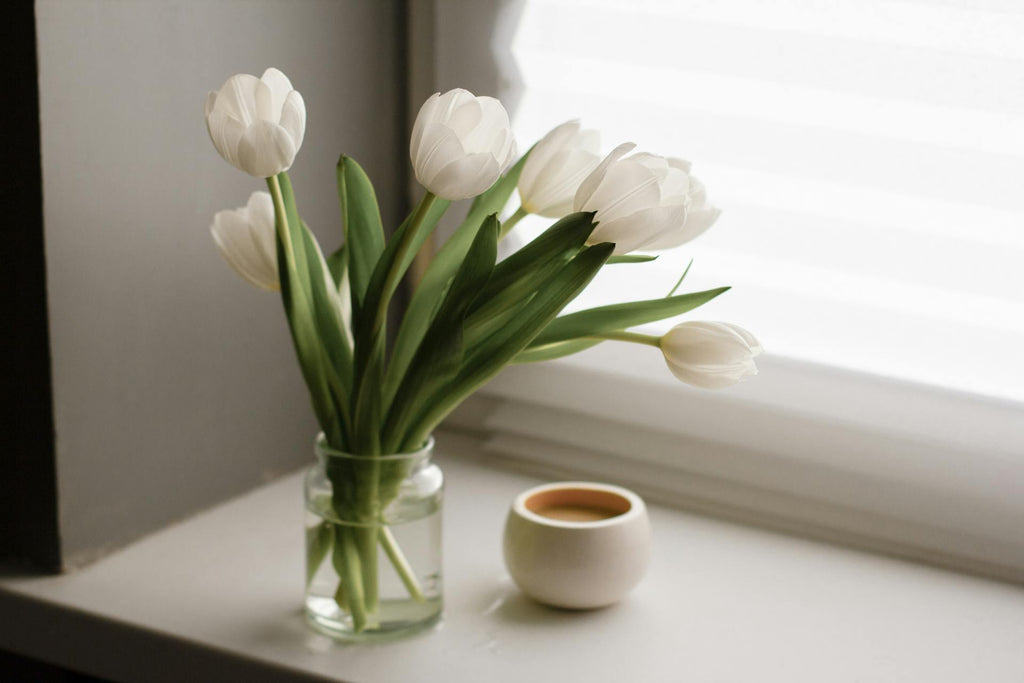 Tulip Symbolism: Unlocking the Meaning Behind These Beautiful Flowers