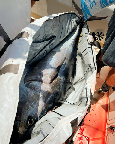 Tournament Weigh In Fish Bag - Heavy Duty Bags That Transport Safely, Are  Leak