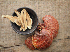 ganoderma lucidium, lingzhi, reishi mushroom