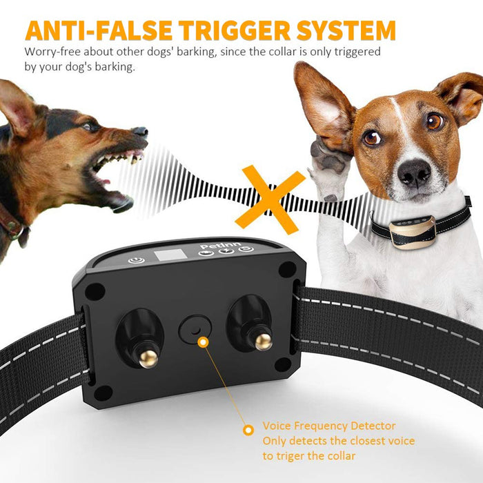bark activated shock collar
