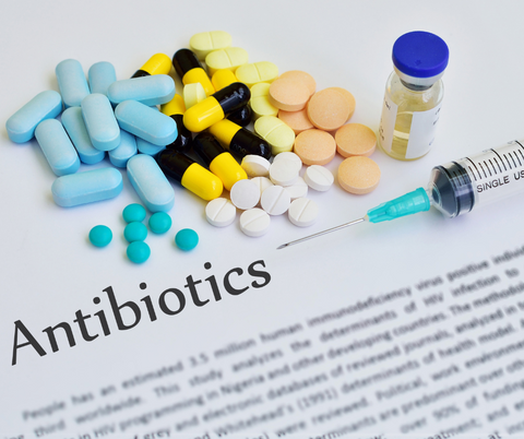 Antibiotics relationship with gut health